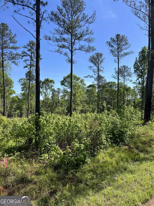 677 Giles RD, Forsyth, GA 31029