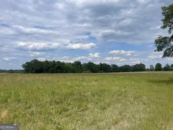 0 Jim Maloy RD, Mcrae-helena, GA 31037