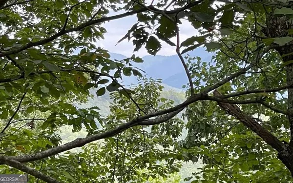 Hayesville, NC 28904,LOT 20 Enchanted Ridge RDG