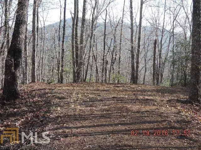 Hayesville, NC 28904,L28 Mission Ridge DR #LOT 28