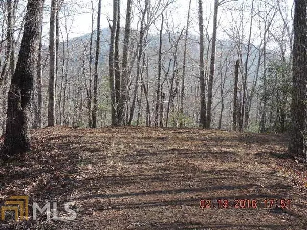 Hayesville, NC 28904,L28 Lot 29 Hidden River