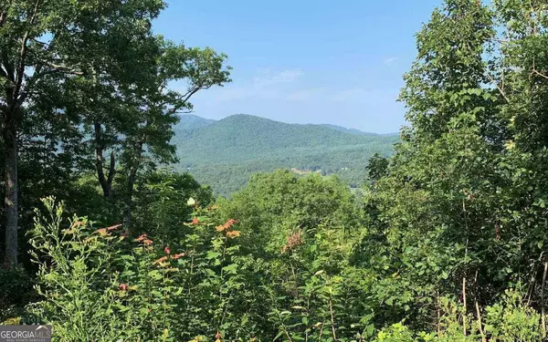 Hayesville, NC 28904,LOT 7 White Oak