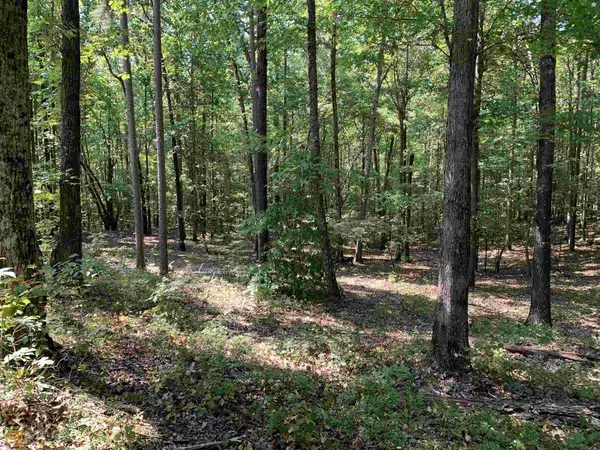 Toccoa, GA 30577,LOT 1B Trestle Ridge RD