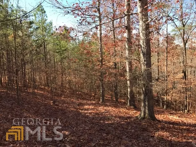 Fairmount, GA 30139,12 Mountain Creek