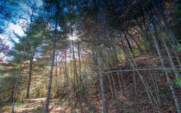 Hiawassee, GA 30546,0 White Oak