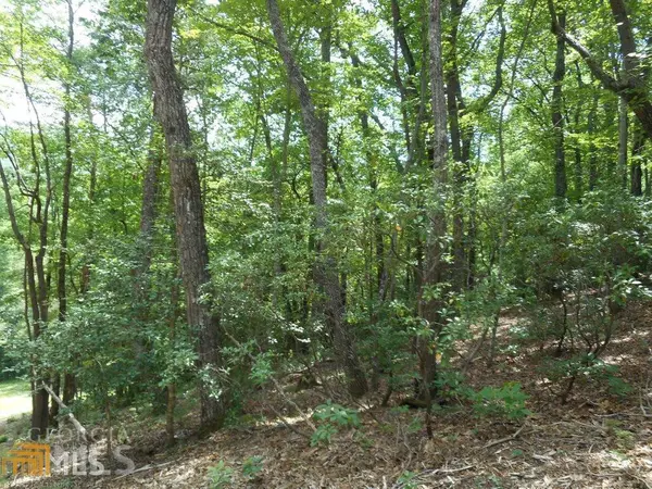 Clarkesville, GA 30523,3114 Oakey Mountain