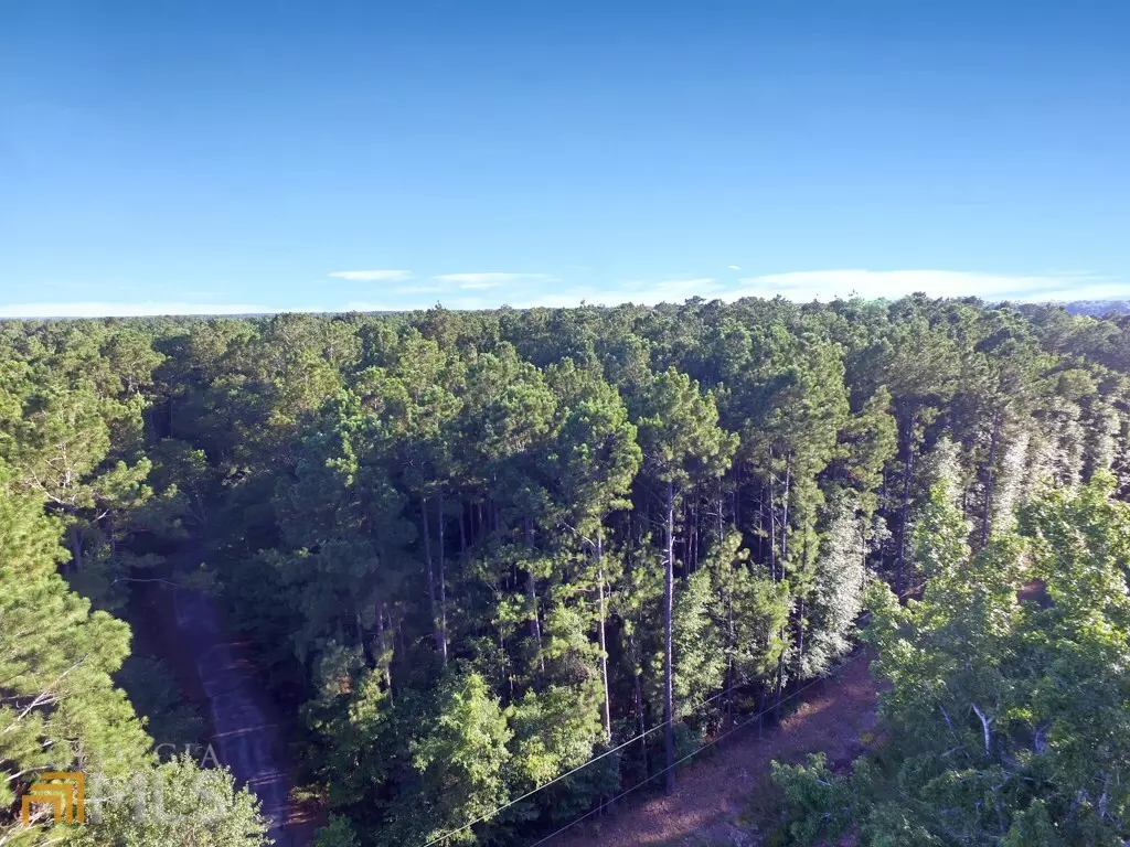 Statesboro, GA 30458,0 Burkhalter RD #LOT 8