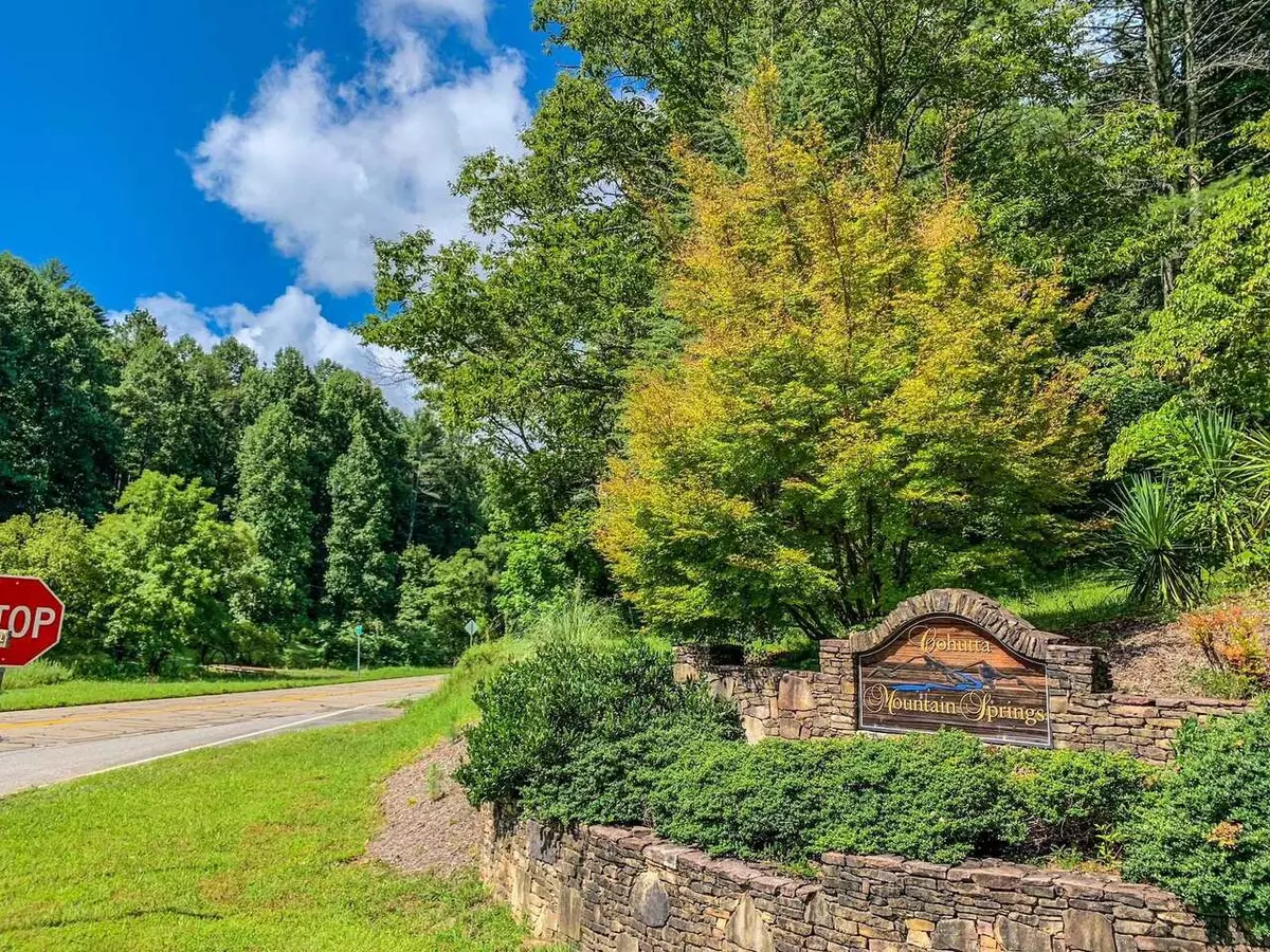 Ellijay, GA 30540,0 Mountain Springs