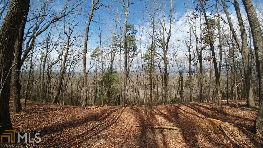 14.2A Teel Mountain, Cleveland, GA 30528