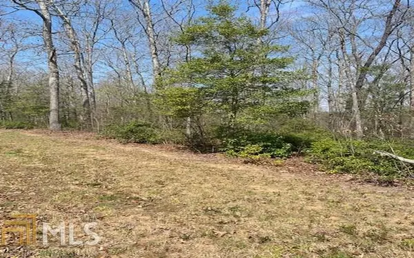 Warne, NC 28909,LOT 7 Brasstown Trails