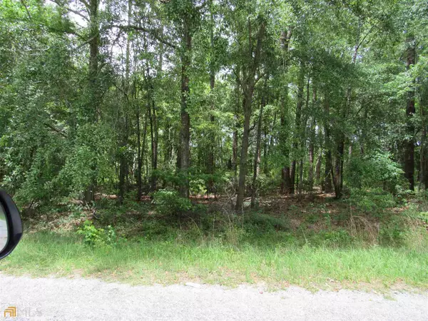 Swainsboro, GA 30401,0 Meadowlake