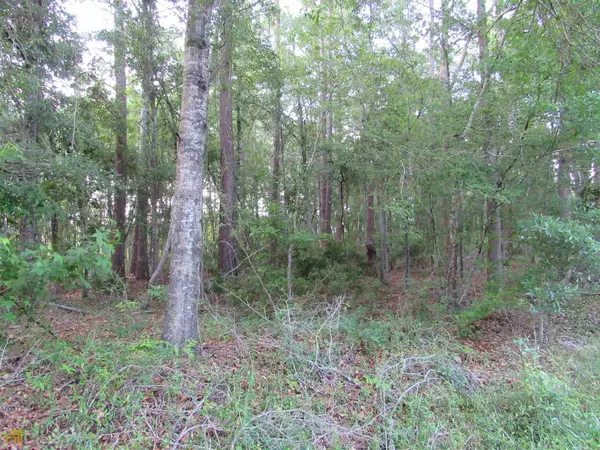 Swainsboro, GA 30401,0 Meadowlake