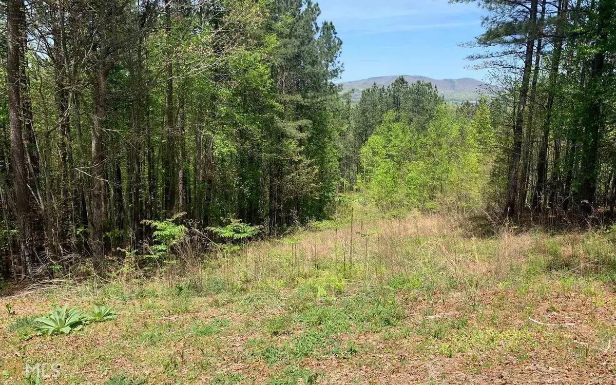 Blairsville, GA 30512,LOT 28 Loftis MTN