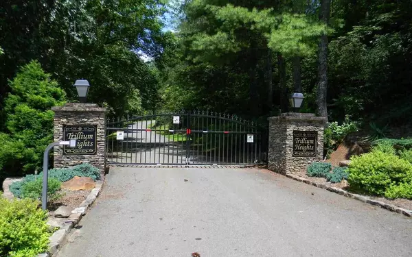 Hayesville, NC 28904,LOT 4A Trillium HTS