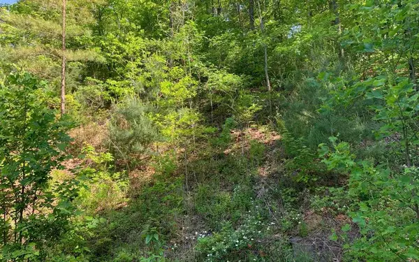 LOT 4A Trillium HTS, Hayesville, NC 28904