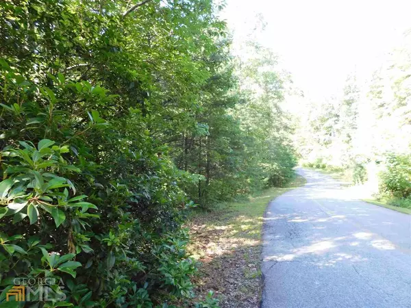 Sautee Nacoochee, GA 30571,0 Highland