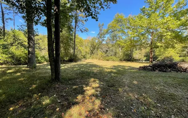 Hayesville, NC 28904,LOT 35 Hidden River