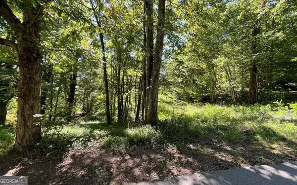 Hayesville, NC 28904,LOT 1 Buena Vista