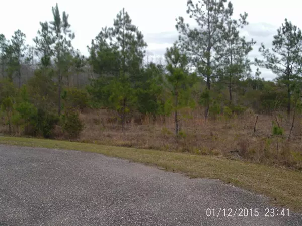 Folkston, GA 31537,50 Bessie