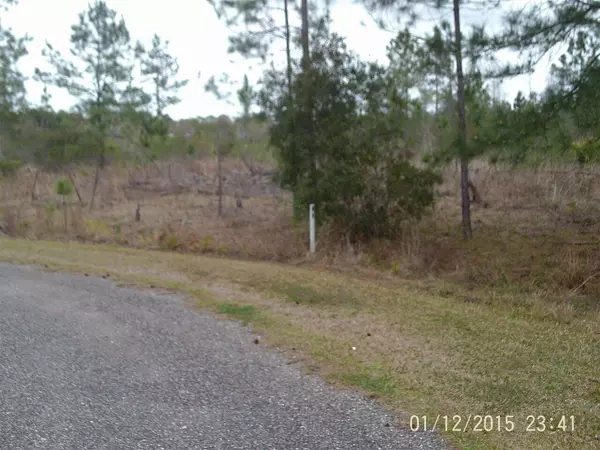 Folkston, GA 31537,50 Bessie