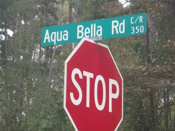 Lavonia, GA 30553,LTS 33-34 Aqua Bella