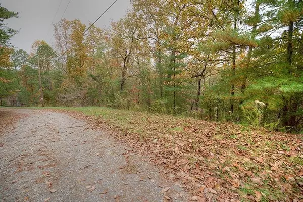 Ranger, GA 30734,973 Raccoon Ridge