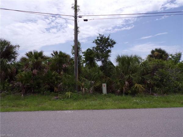 Port Charlotte, FL 33981,10266 Lobelia PL