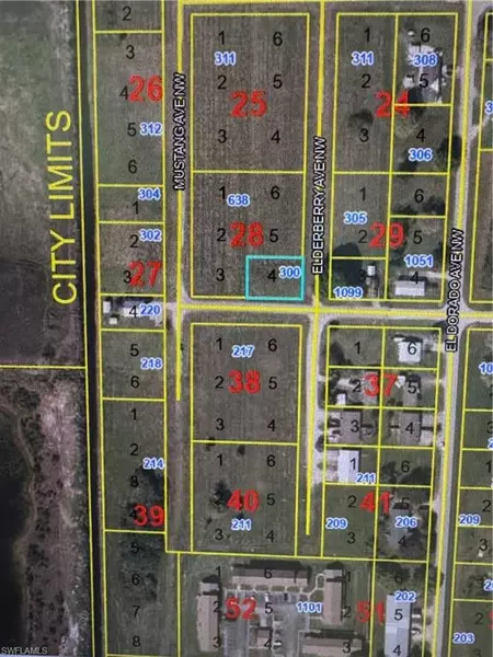 300 Elderberry AVE NW, Moore Haven, FL 33471