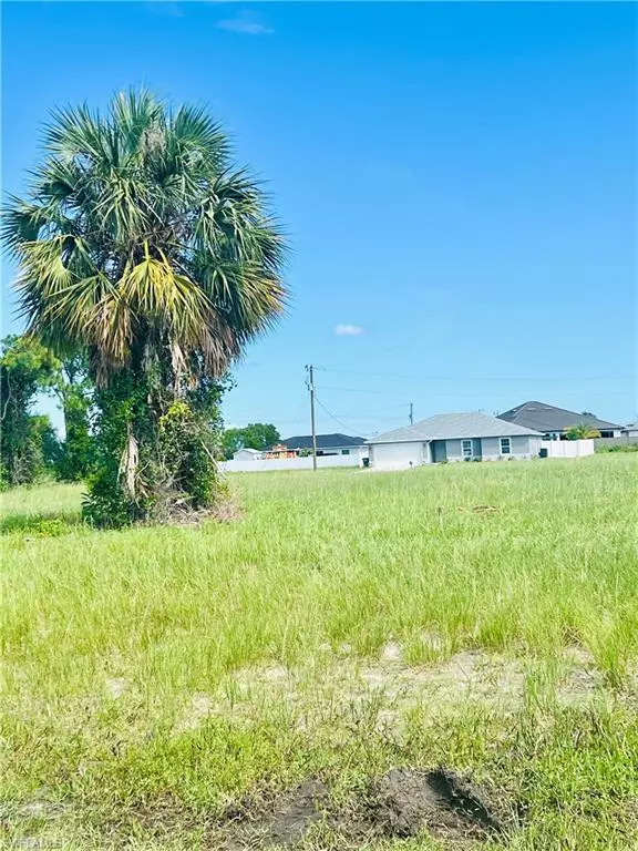 Cape Coral, FL 33991,1011 Ceitus TER