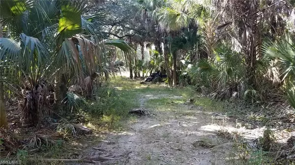 Naples, FL 34117,1975 Everglades BLVD S
