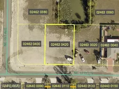 105 NE 12th LN, Cape Coral, FL 33909