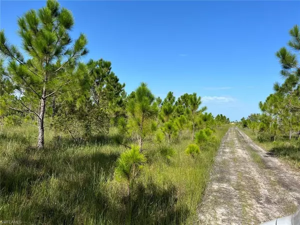 Punta Gorda, FL 33982,49673 Bermont RD