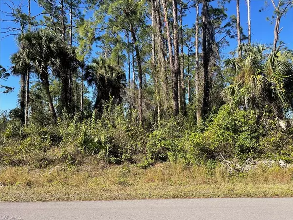 Lehigh Acres, FL 33972,1209 Pine AVE