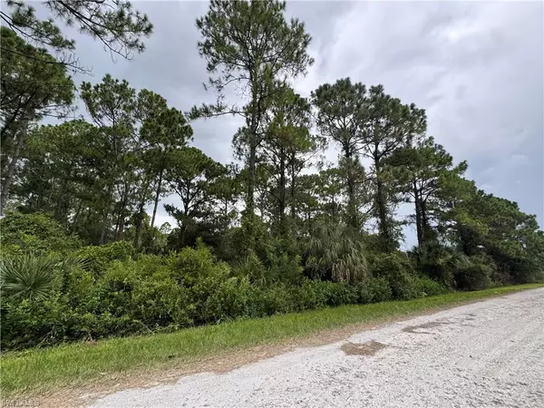 Clewiston, FL 33440,450 S Romero ST