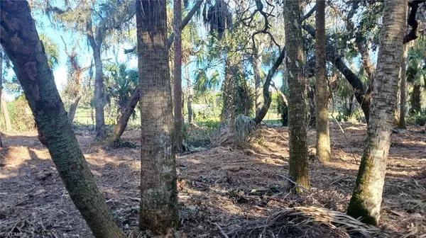 North Fort Myers, FL 33917,16470 B2 Daughtreys Creek