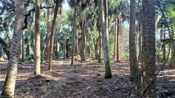North Fort Myers, FL 33917,16470 B2 Daughtreys Creek