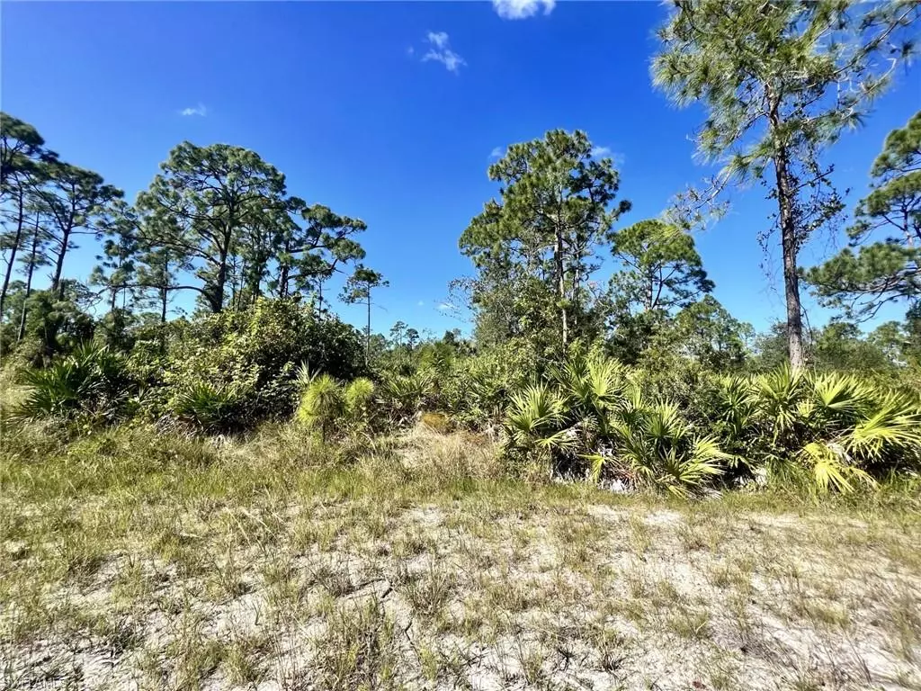 Punta Gorda, FL 33955,12247 Catridge CIR