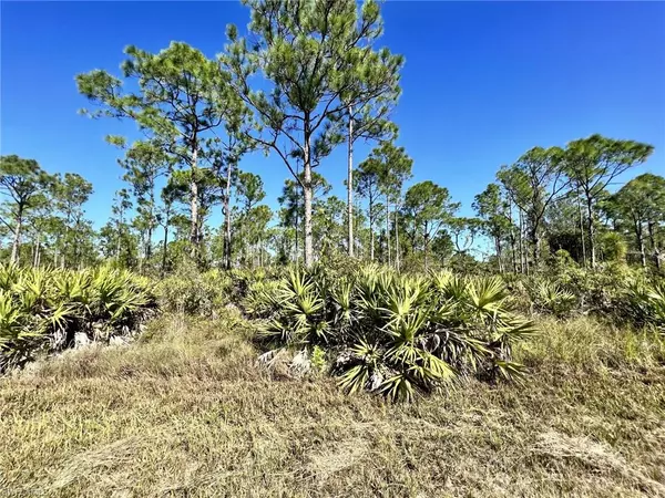 28060 Argyle DR, Punta Gorda, FL 33955