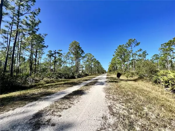 Punta Gorda, FL 33955,28060 Argyle DR