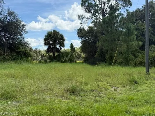 Labelle, FL 33935,1279 JABARA CIR SW