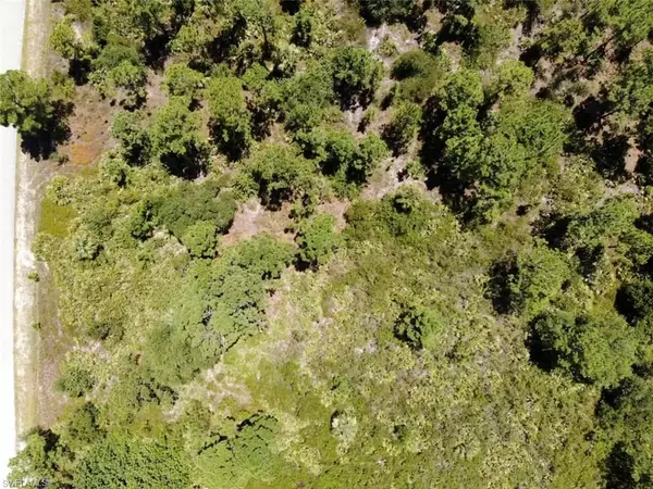 Lehigh Acres, FL 33972,1107 Plumosa AVE