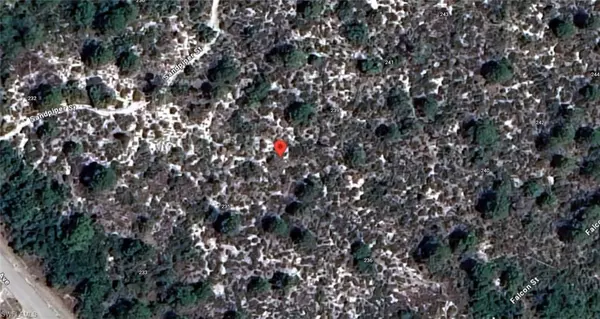 Lake Placid, FL 33852,237 Sandpiper ST