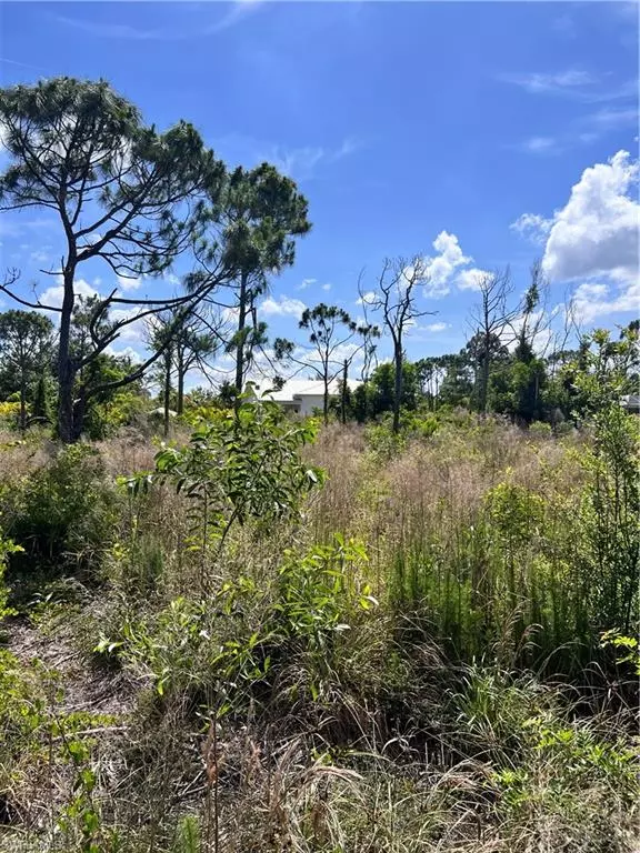 St. James City, FL 33956,8746 Nome CT