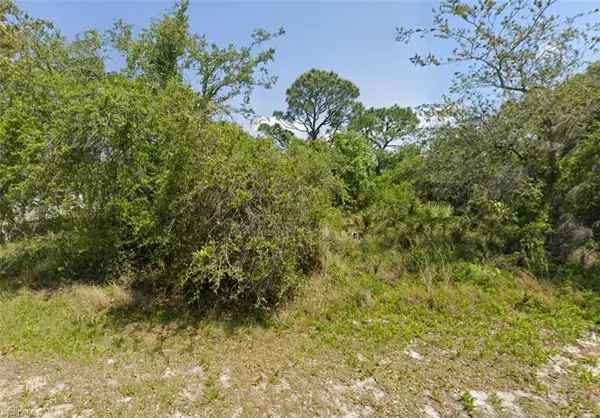 249 Grape RD NW, Lake Placid, FL 33852