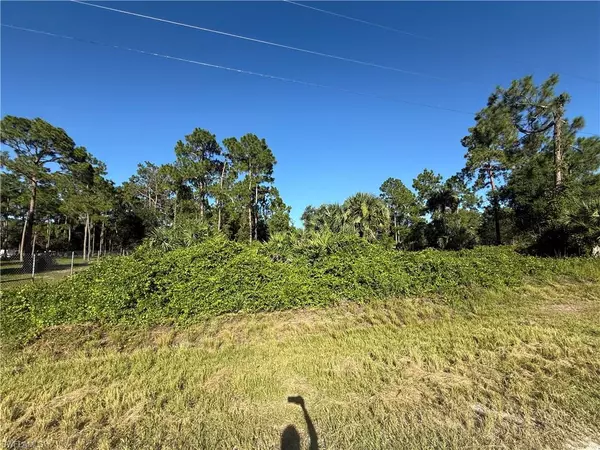 Clewiston, FL 33440,635 S Trebol ST