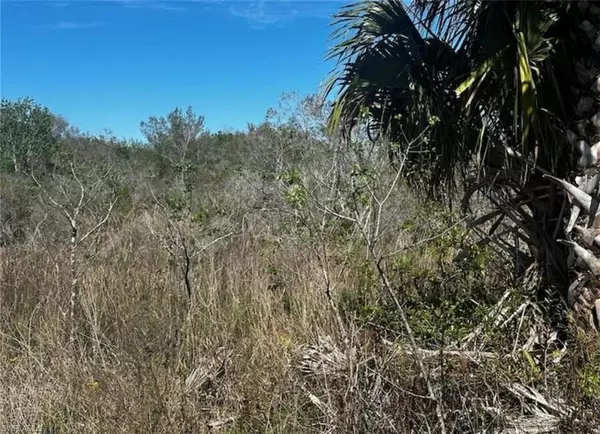 Okeechobee, FL 34972,NW 308th ST