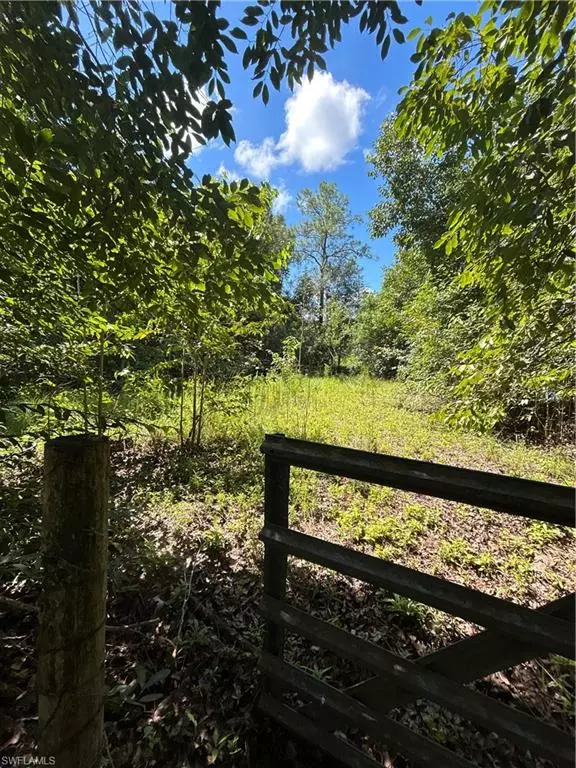 Naples, FL 34120,Anhinga Anhinga RD