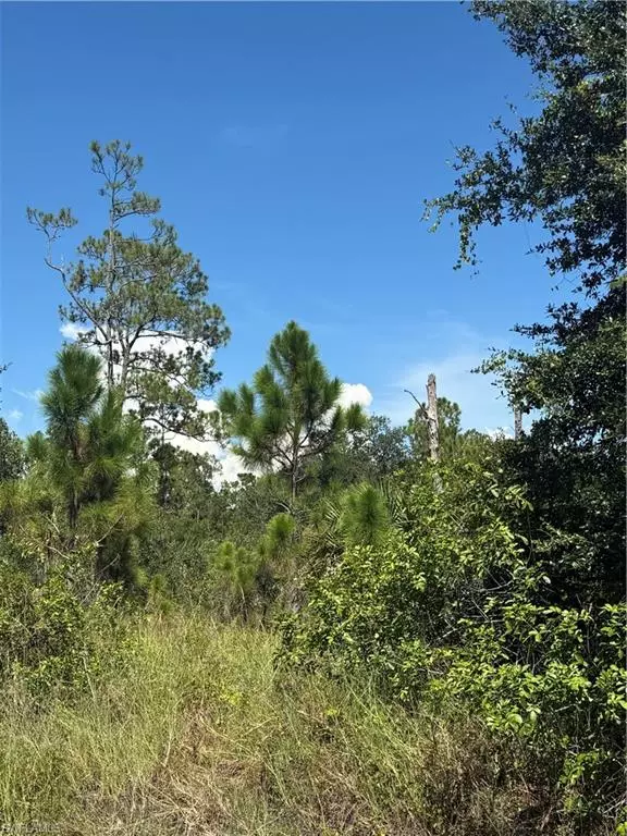 Clewiston, FL 33440,565 S Datil ST