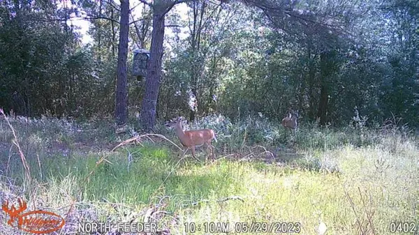 Monticello, FL 32344,Big Joe RD