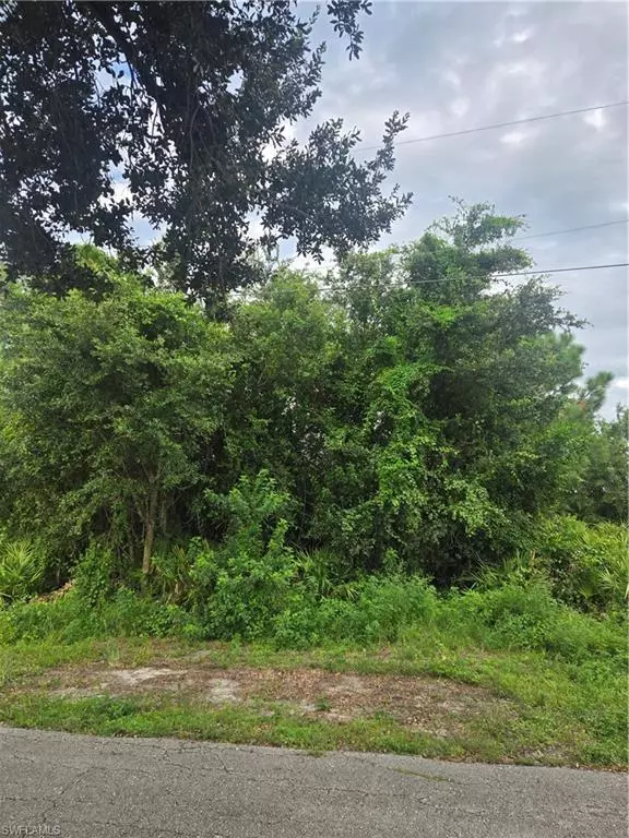 Lehigh Acres, FL 33976,1507 Tena AVE S